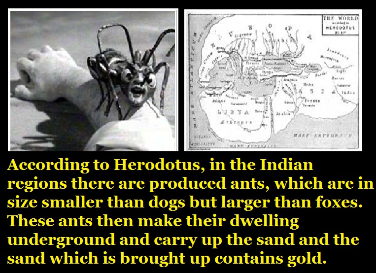 Herodotus and his history on India